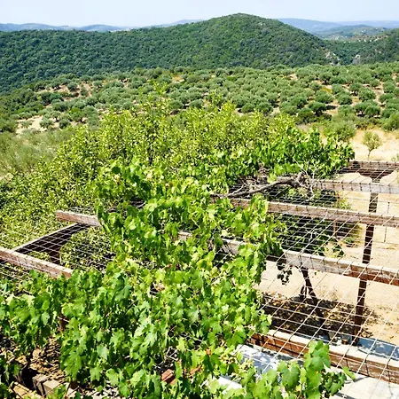 Lemoni 1, Andriani Holiday home Adriani (Messenia)
