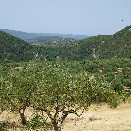 Lemoni 1, Andriani Adriani (Messenia)