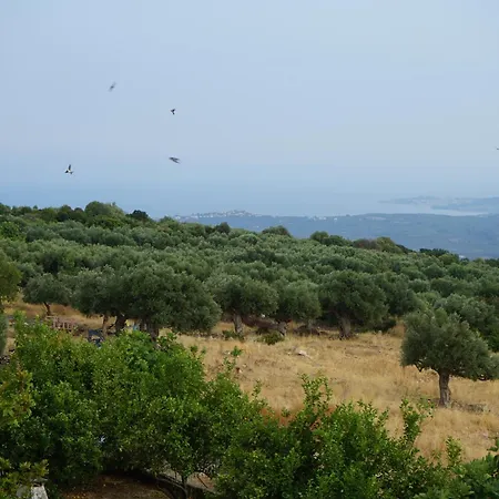 Lemoni 1, Andriani * Adriani (Messenia)