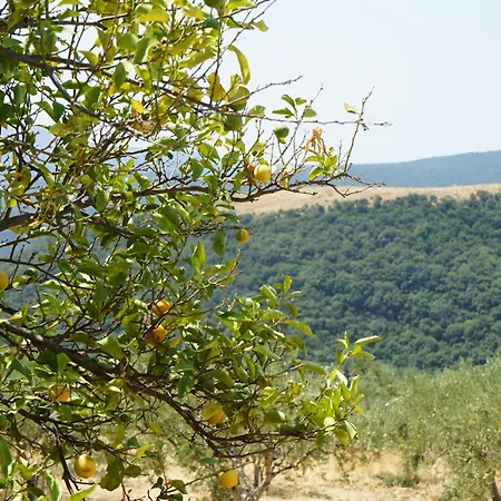 Holiday home Lemoni 1, Andriani Adriani (Messenia)